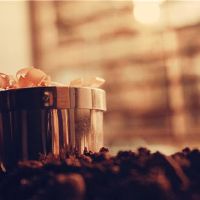 我喜欢购物了一夜，夜间购物。