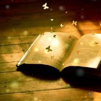 敢于从不推卸的星座