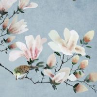 二手车过户提前选号 新手选择车牌号上牌须知