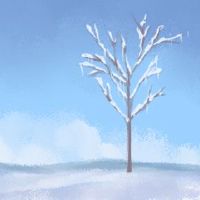 为什么新年的第二天？