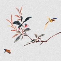 本命年的衣服什么时候开始穿 立春穿红提运气