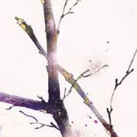 为什么81年的鸡都命苦 此年生属鸡女旺夫旺女