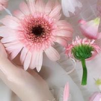 谈话永远是针，看到最彻底的星座