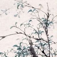 2022年立春日生宝宝好吗 衣禄安然有贵人接引