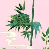 1999年属兔女婚配什么属相 兔女最佳结婚年龄