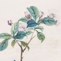 虎年属鼠的运势怎么样2022 求财之路坎坷