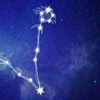 当年2022年的财富在2022年的双鱼座逆中解释