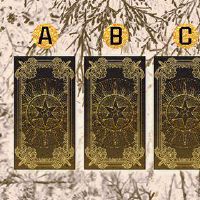 膝上滑石sauppart测量你适合什么宠物？