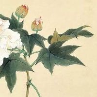 情侣电话号码名称大全 能成大业的手机号码