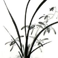 车牌号倒顺号321好吗 数理吉祥招财的车牌号码