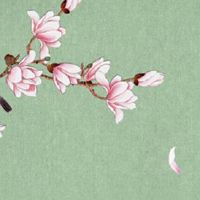 2022年生肖运势详解 爱情财运事业全年运势分析