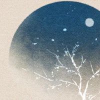 偏财在哪个柱上最好 年柱偏财不愁吃穿