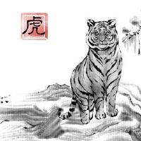 Tiger的命运是如何出生于5月的？
