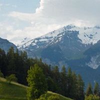 狮子座是最幸运的一天