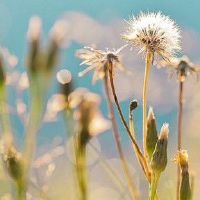 客厅里最好的是什么？