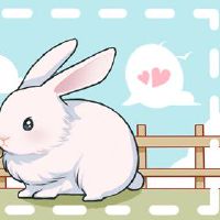 2022年兔子桃花运 个人魅力不断提升