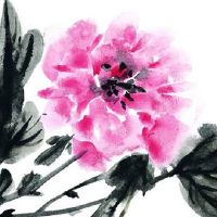 本命年属虎穿戴什么可以消灾避难 猪形饰物让生肖虎消灾避难