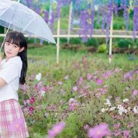 思考简单的生活，有一个简单的高级星座