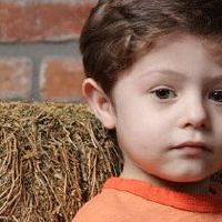 虎年最佳男孩取名用字