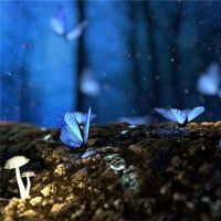 关于这个网站的公共解决方案梦想数据