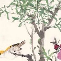 提亲有啥讲究 正月不娶腊月不定