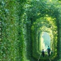 库存：大星座的备用轮胎