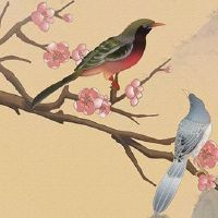 2022年本命年是哪年出生 属虎人年龄对照