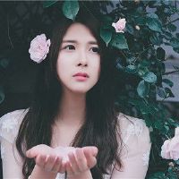 12星评分后的反应