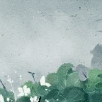 出生在申请中的女孩是这次丰富的生活。