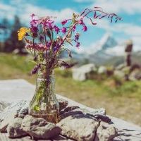 2022年感情有第三者的生肖 属马与异性保持距离