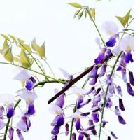 2022年正月十六开工好不好 开门大吉送礼推荐