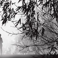 2022最强大的爱情故事人土土情集集集