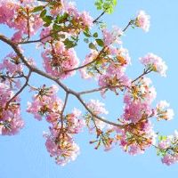 2022年5月21日是什么日子 农历四月二十适合动土吗