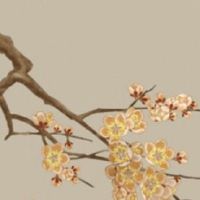 夫妻犯刑克怎么办 八字相克的夫妻只能离婚吗