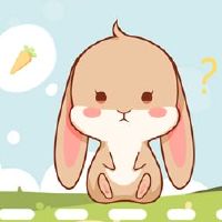 兔子和兔子不合理地结婚和生肖兔子。