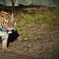 2010年的人是什么？