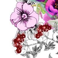 2022年5月11日适合提车吗 农历四月初十是不是买车日子