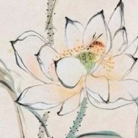 000车牌号能选吗 盘点大吉顺口的车牌号码