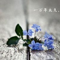 在化合物之后，星座以前更加被爱。