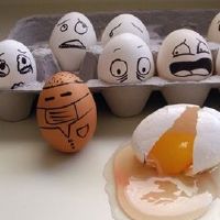 他们将如何报复12个星座？