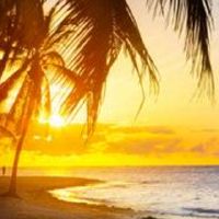 桑树心情适合职业改善职业生涯的职业生涯