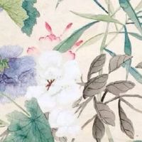 女命水旺的人婚姻最复杂 正缘前诸多烂桃花