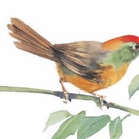 2022年5月27日可以开工复工吗 农历四月二十六吉日查询