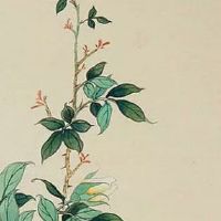 夫妻宫看如何认识配偶 夫妻宫推测配偶年龄方位