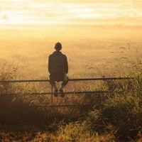 为什么它在与12个星座聊天时突然沉默？