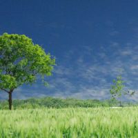 如何看待八个人物应该吃什么？