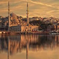 八个角色寿命的特点受伤