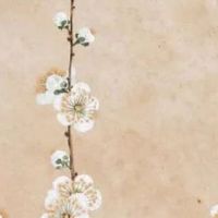 2022年3月8日搬家好吗 乔迁搬家祝福语大全