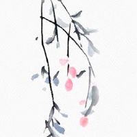 松柏木命手机号幸运数多少 最吉利的数字是几