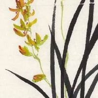 2022年三八妇女节是星期几 上班休假有福利